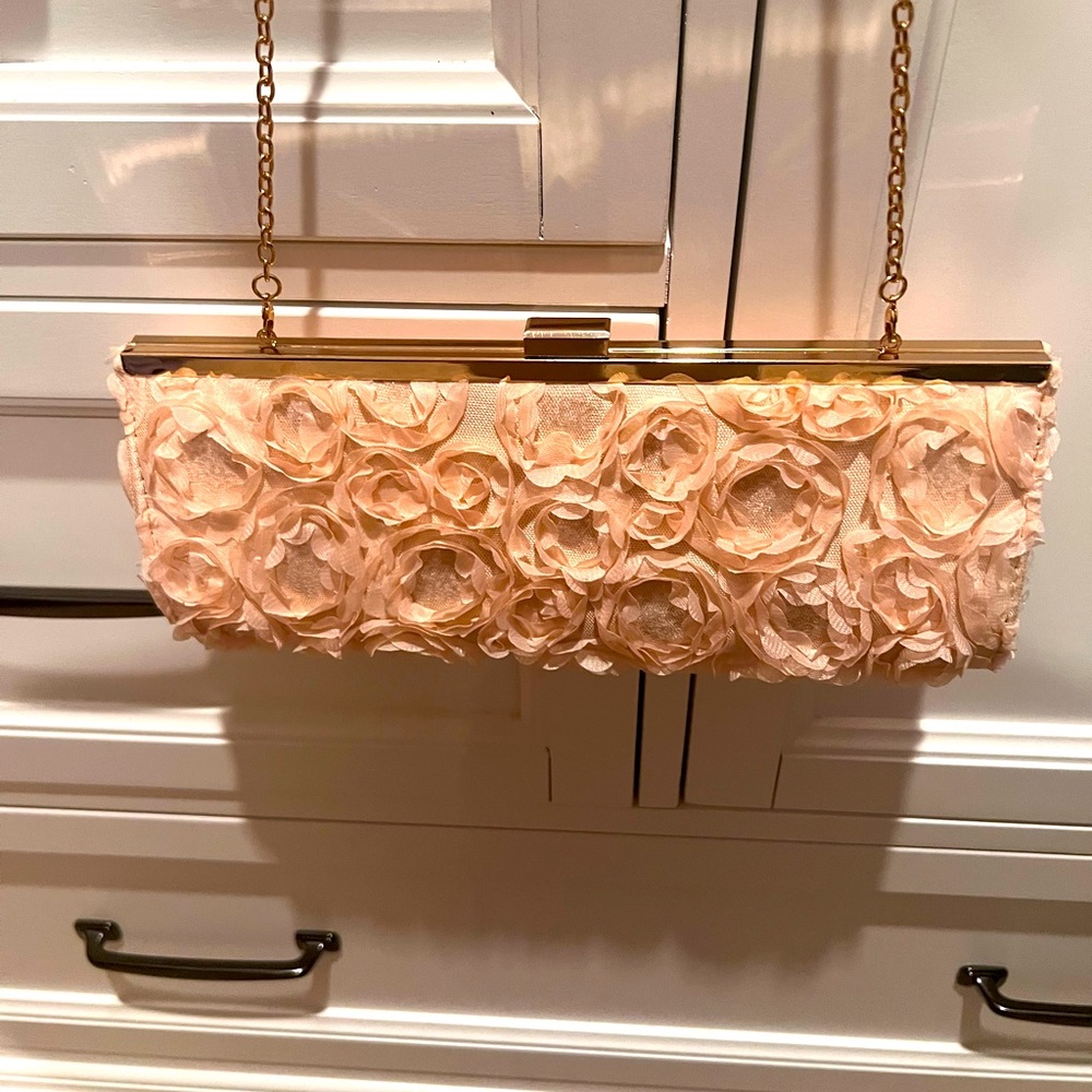 Clutch purse new never used